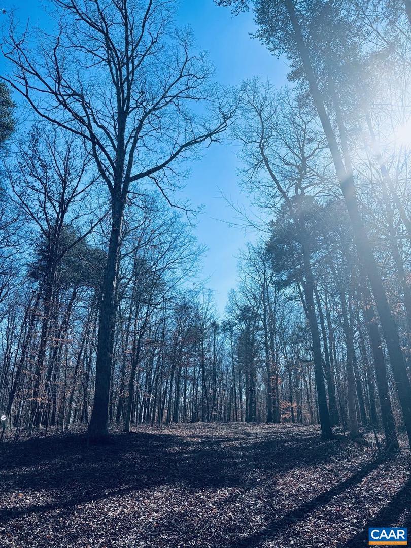 TBD RUNNING DEER DR #PARCEL A AS SHOWN ON, KESWICK, Virginia 22947, ,Land,For sale,TBD RUNNING DEER DR #PARCEL A AS SHOWN ON,667749 MLS # 667749