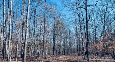 TBD RUNNING DEER DR #PARCEL A AS SHOWN ON, KESWICK, Virginia 22947, ,Land,For sale,TBD RUNNING DEER DR #PARCEL A AS SHOWN ON,667749 MLS # 667749