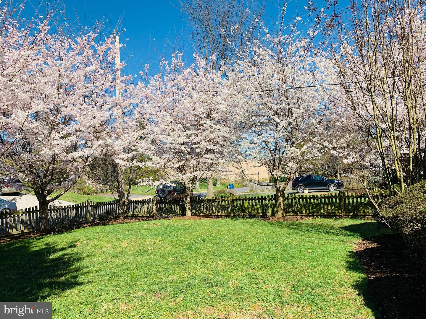 6703 HALLWOOD AVE, FALLS CHURCH, Virginia 22046, 3 Bedrooms Bedrooms, ,2 BathroomsBathrooms,Residential,For sale,6703 HALLWOOD AVE,VAFX2260198 MLS # VAFX2260198