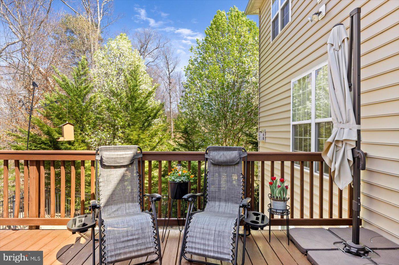 18 SMELTERS TRACE RD, STAFFORD, Virginia 22554, 5 Bedrooms Bedrooms, ,3 BathroomsBathrooms,Residential,For sale,18 SMELTERS TRACE RD,VAST2041706 MLS # VAST2041706