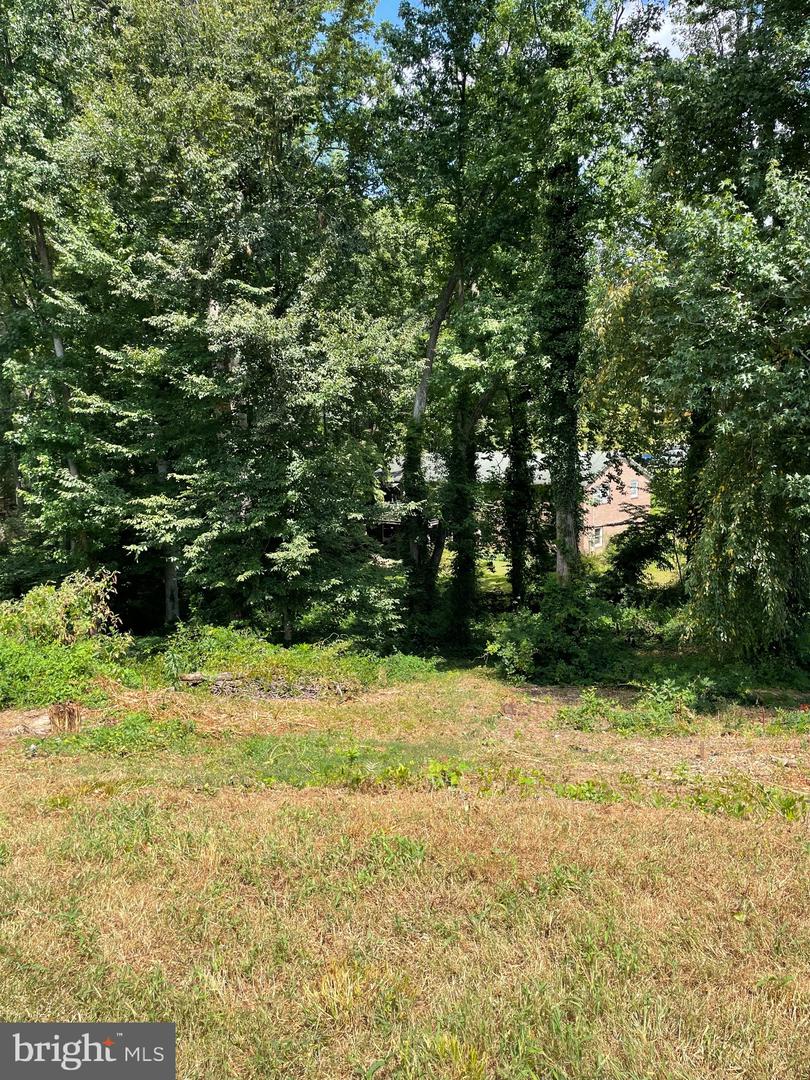 210 RIDGEMORE ST, FREDERICKSBURG, Virginia 22405, 3 Bedrooms Bedrooms, ,2 BathroomsBathrooms,Residential,For sale,210 RIDGEMORE ST,VAST2041742 MLS # VAST2041742