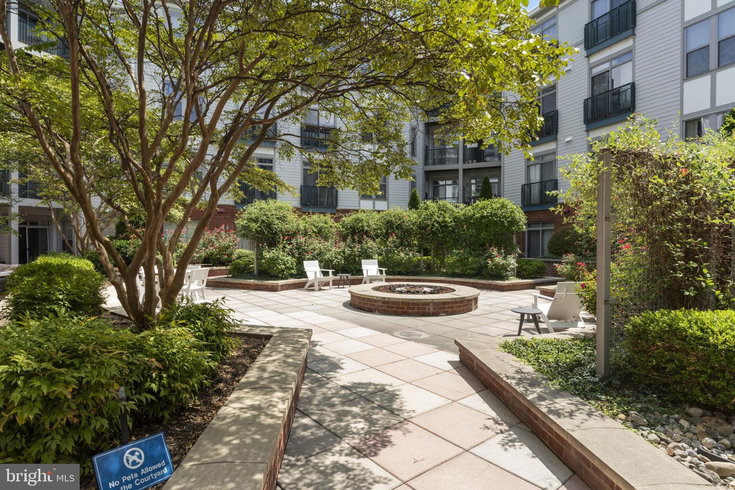 1800 WILSON BLVD #305, ARLINGTON, Virginia 22209, 1 Bedroom Bedrooms, ,1 BathroomBathrooms,Residential,For sale,1800 WILSON BLVD #305,VAAR2062188 MLS # VAAR2062188