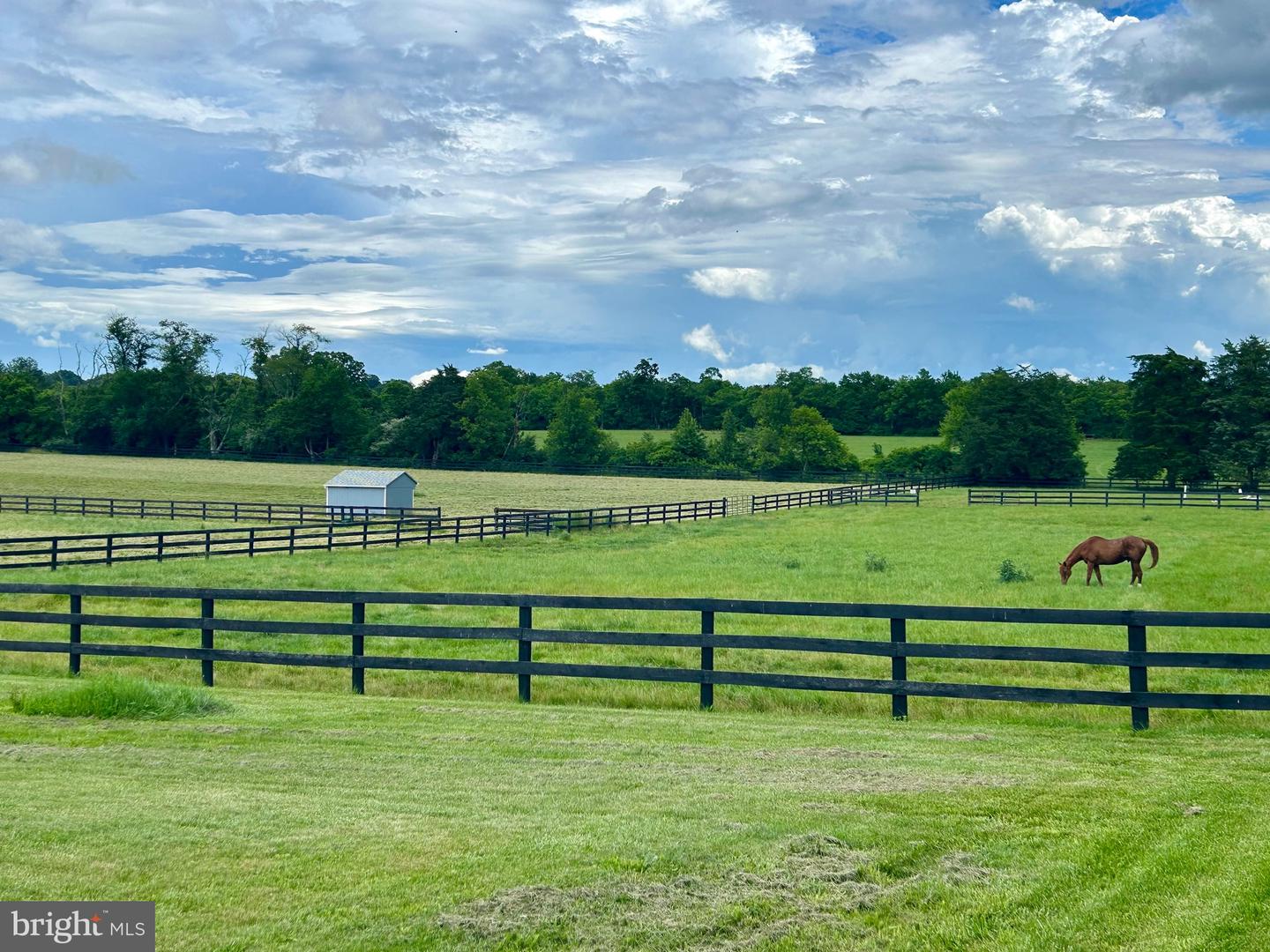 64 SALEM CHURCH RD, BOYCE, Virginia 22620, 4 Bedrooms Bedrooms, ,1 BathroomBathrooms,Farm,For sale,64 SALEM CHURCH RD,VACL2005972 MLS # VACL2005972