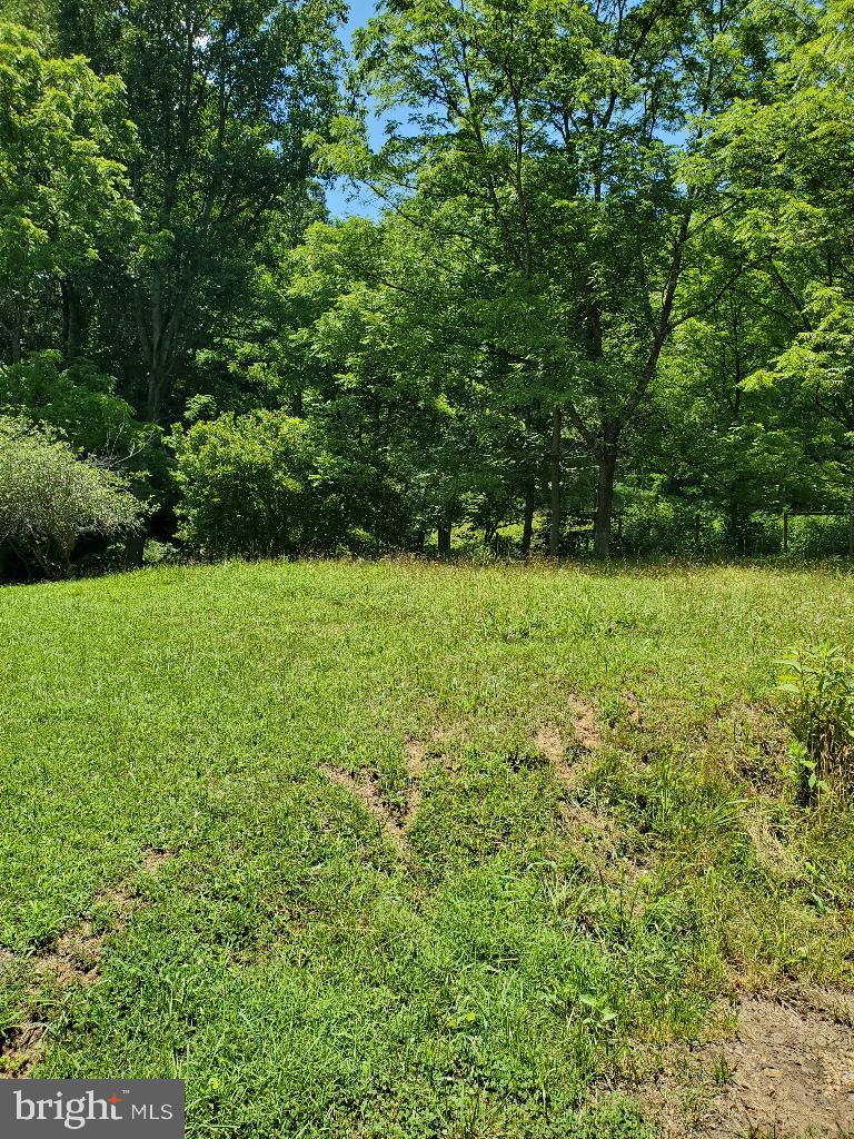 437 STILL HOUSE HOLLOW RD, SALTVILLE, Virginia 24370, 4 Bedrooms Bedrooms, ,2 BathroomsBathrooms,Residential,For sale,437 STILL HOUSE HOLLOW RD,VASM2000004 MLS # VASM2000004