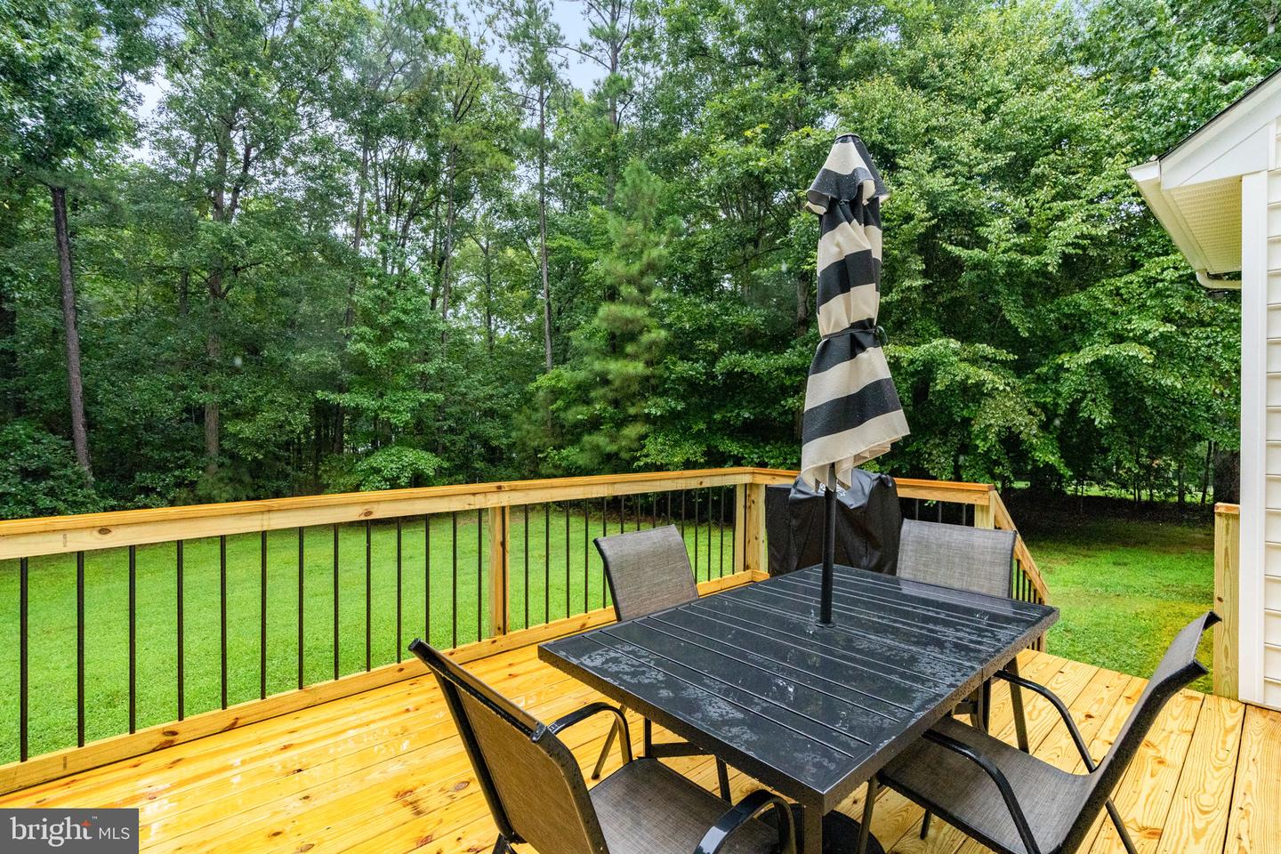 12912 CARTERS HILL PL, CHESTERFIELD, Virginia 23838, 4 Bedrooms Bedrooms, ,2 BathroomsBathrooms,Residential,For sale,12912 CARTERS HILL PL,VACF2001246 MLS # VACF2001246