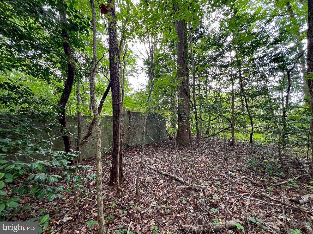 000 HICKS RD, HUDGINS, Virginia 23076, ,Land,For sale,000 HICKS RD,VAMH2000108 MLS # VAMH2000108