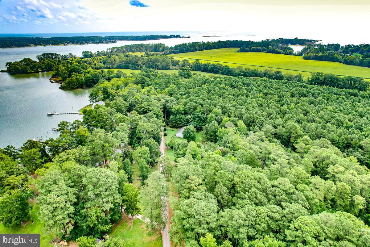 000 HICKS RD, HUDGINS, Virginia 23076, ,Land,For sale,000 HICKS RD,VAMH2000108 MLS # VAMH2000108
