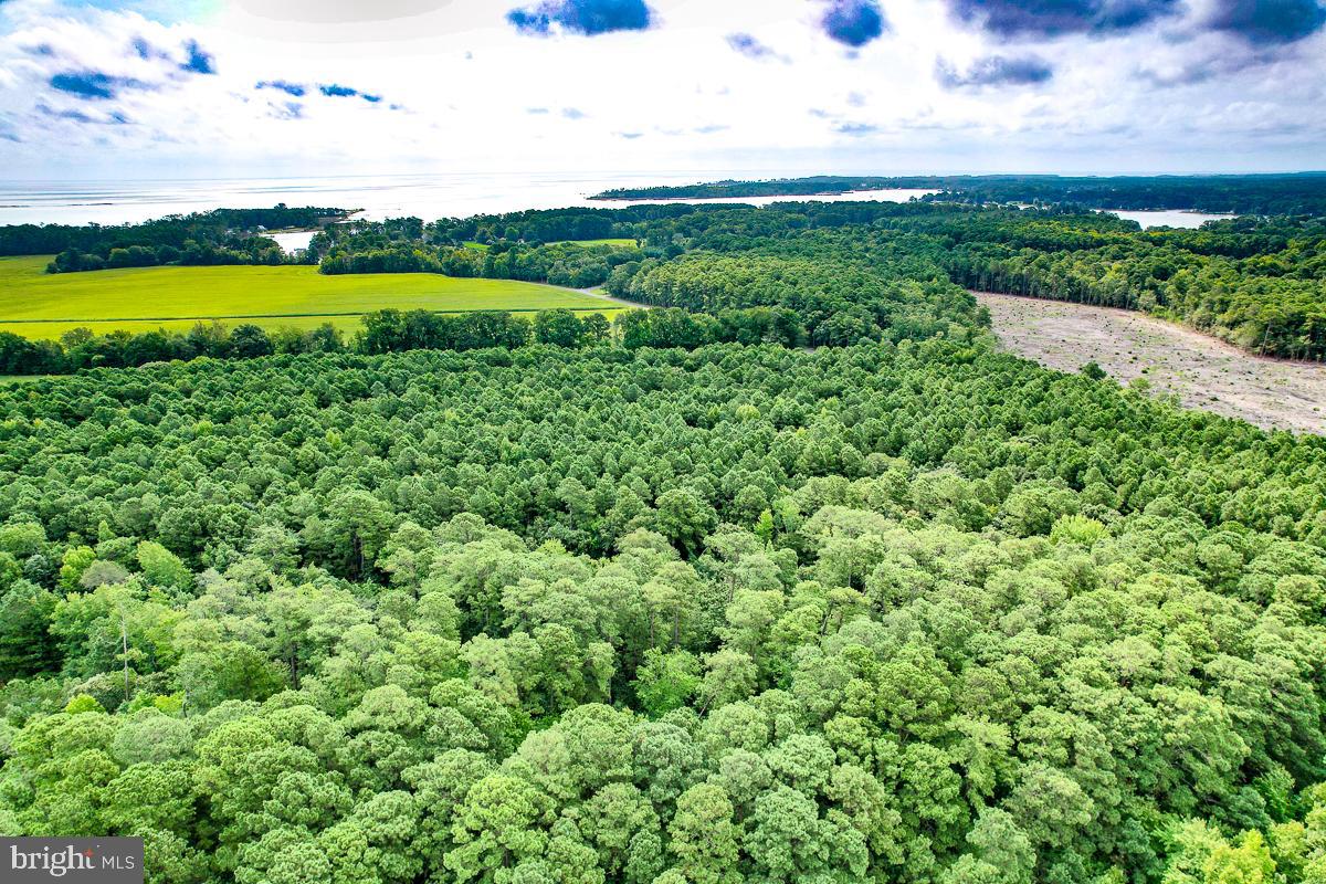 000 HICKS RD, HUDGINS, Virginia 23076, ,Land,For sale,000 HICKS RD,VAMH2000108 MLS # VAMH2000108
