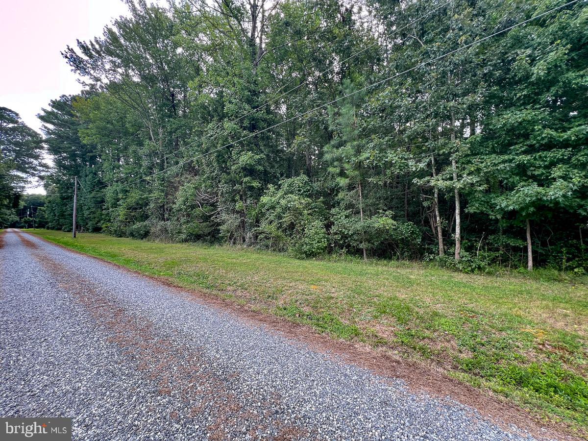 000 HICKS RD, HUDGINS, Virginia 23076, ,Land,For sale,000 HICKS RD,VAMH2000108 MLS # VAMH2000108