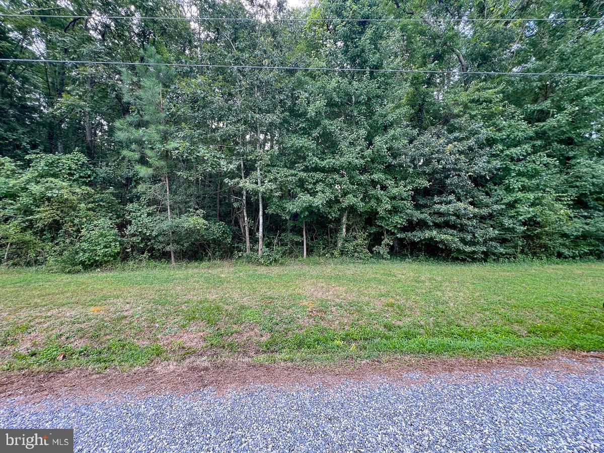 000 HICKS RD, HUDGINS, Virginia 23076, ,Land,For sale,000 HICKS RD,VAMH2000108 MLS # VAMH2000108