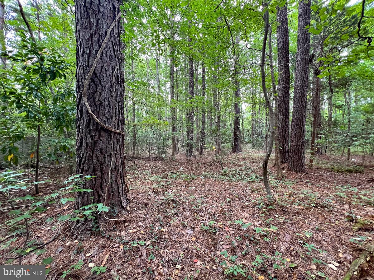 000 HICKS RD, HUDGINS, Virginia 23076, ,Land,For sale,000 HICKS RD,VAMH2000108 MLS # VAMH2000108