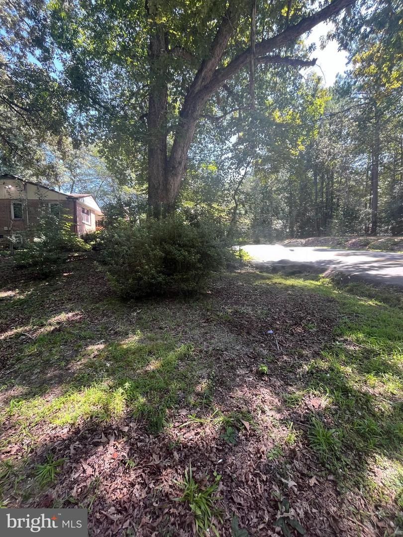 BAXTER RD, PRINCE GEORGE, Virginia 23875, ,Land,For sale,BAXTER RD,VAPV2000090 MLS # VAPV2000090