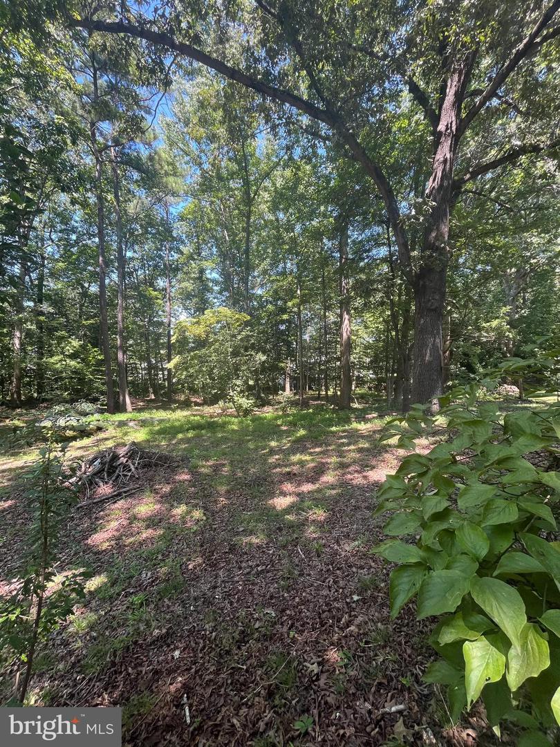 BAXTER RD, PRINCE GEORGE, Virginia 23875, ,Land,For sale,BAXTER RD,VAPV2000090 MLS # VAPV2000090