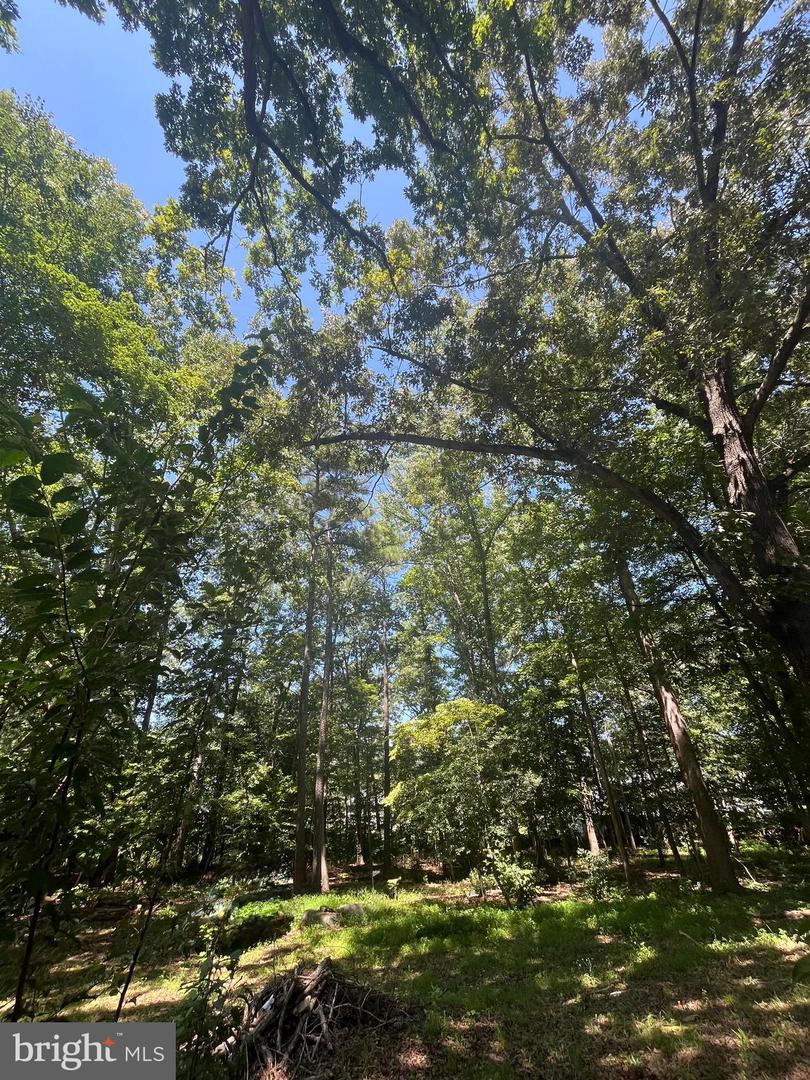 BAXTER RD, PRINCE GEORGE, Virginia 23875, ,Land,For sale,BAXTER RD,VAPV2000090 MLS # VAPV2000090