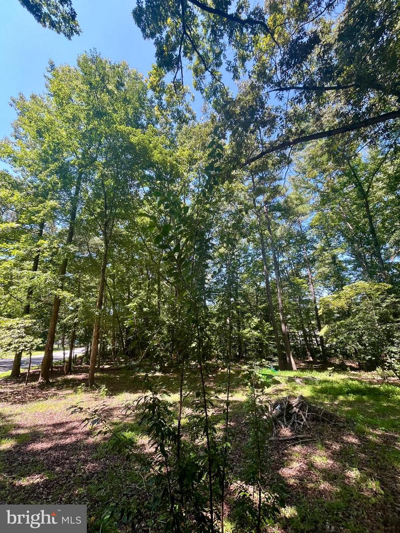 BAXTER RD, PRINCE GEORGE, Virginia 23875, ,Land,For sale,BAXTER RD,VAPV2000090 MLS # VAPV2000090