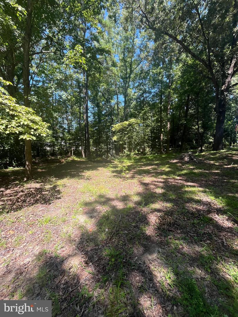 BAXTER RD, PRINCE GEORGE, Virginia 23875, ,Land,For sale,BAXTER RD,VAPV2000090 MLS # VAPV2000090