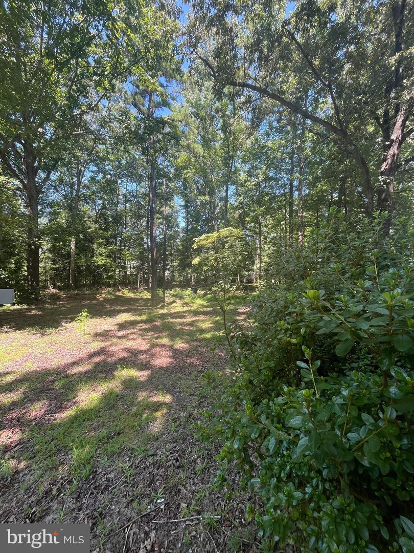 BAXTER RD, PRINCE GEORGE, Virginia 23875, ,Land,For sale,BAXTER RD,VAPV2000090 MLS # VAPV2000090