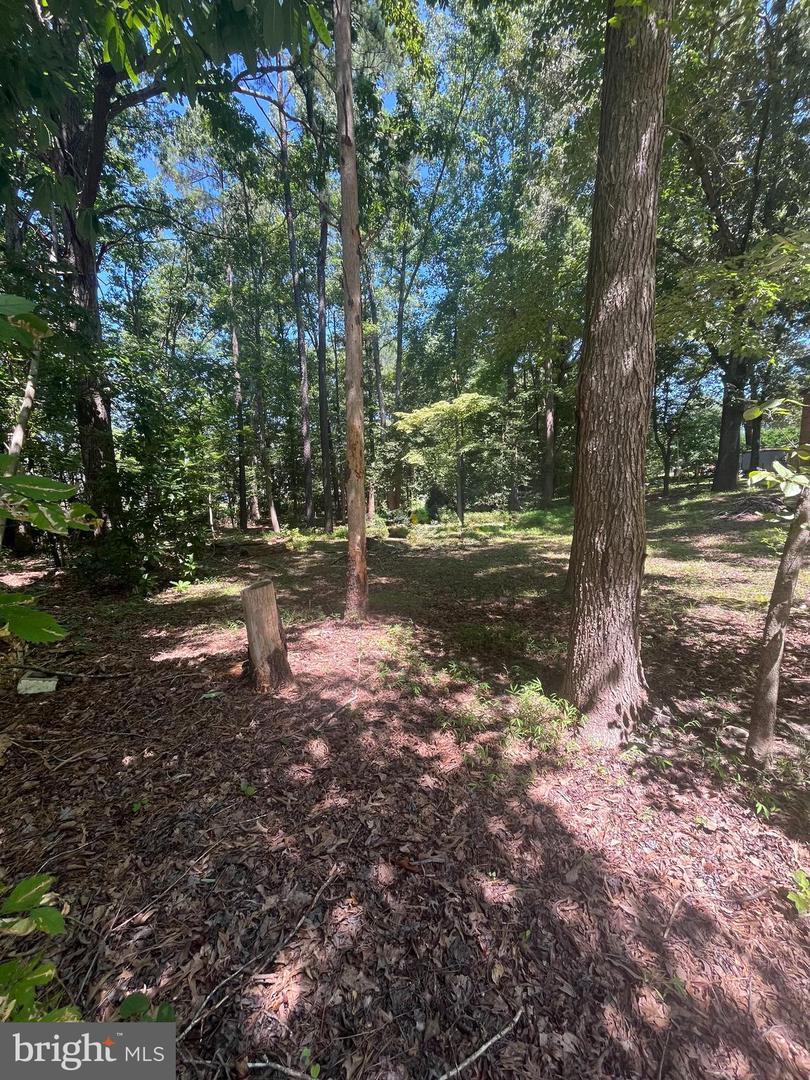 BAXTER RD, PRINCE GEORGE, Virginia 23875, ,Land,For sale,BAXTER RD,VAPV2000090 MLS # VAPV2000090