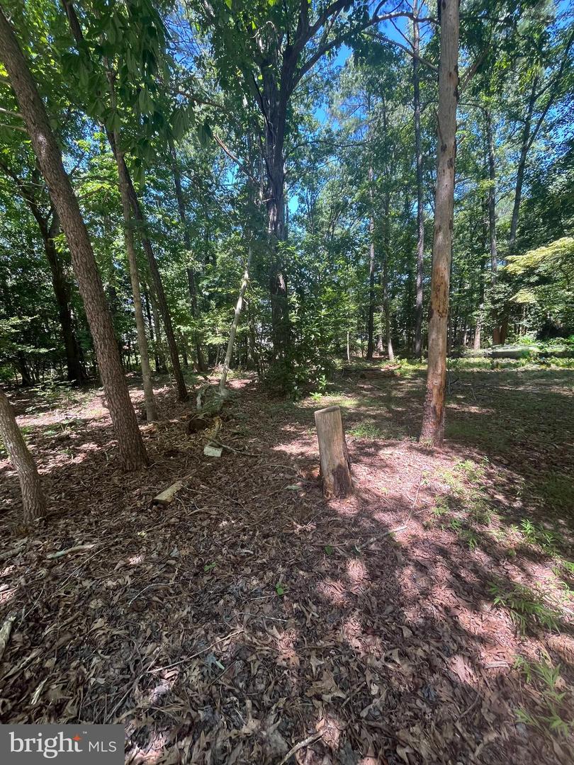 BAXTER RD, PRINCE GEORGE, Virginia 23875, ,Land,For sale,BAXTER RD,VAPV2000090 MLS # VAPV2000090