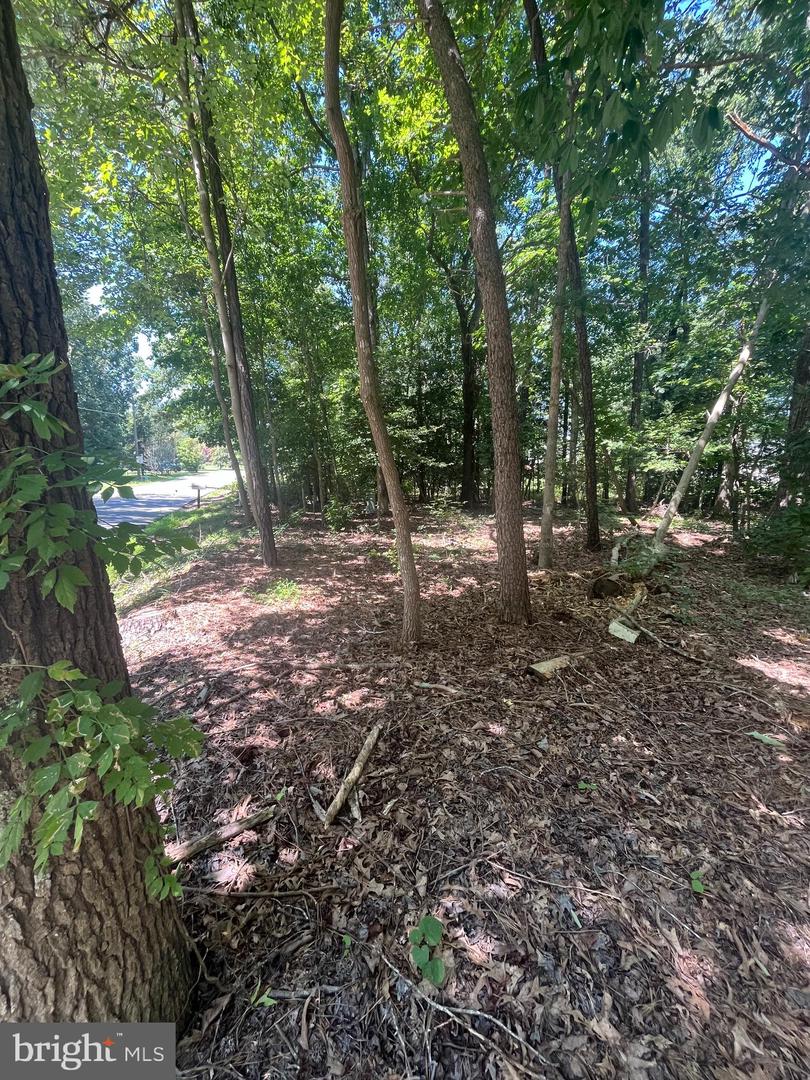 BAXTER RD, PRINCE GEORGE, Virginia 23875, ,Land,For sale,BAXTER RD,VAPV2000090 MLS # VAPV2000090