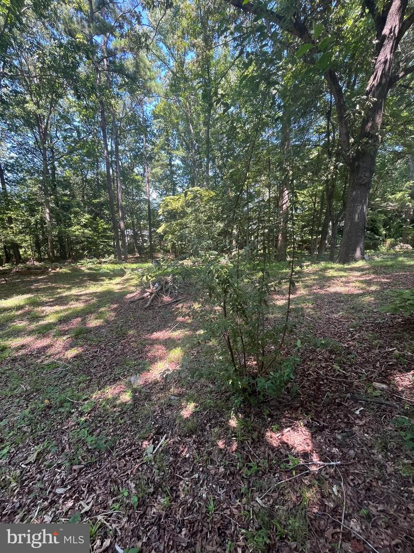 BAXTER RD, PRINCE GEORGE, Virginia 23875, ,Land,For sale,BAXTER RD,VAPV2000090 MLS # VAPV2000090