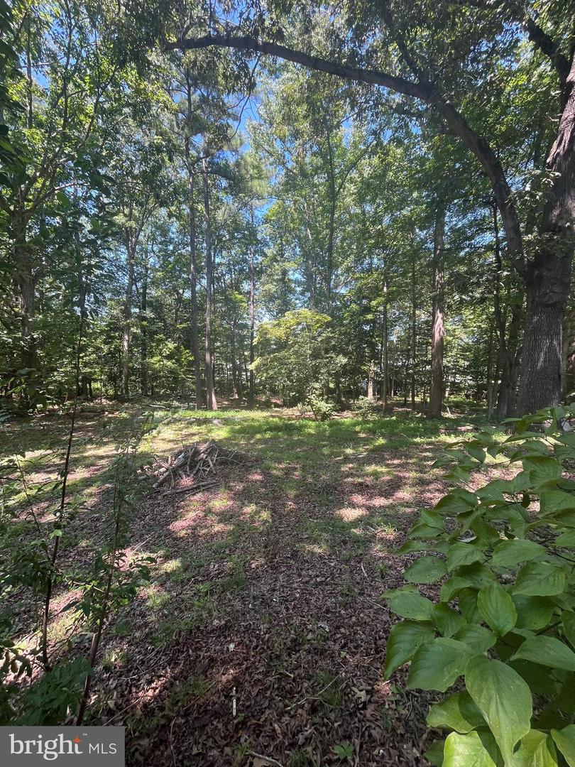 BAXTER RD, PRINCE GEORGE, Virginia 23875, ,Land,For sale,BAXTER RD,VAPV2000090 MLS # VAPV2000090
