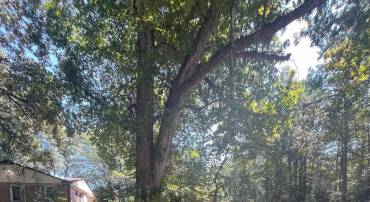 BAXTER RD, PRINCE GEORGE, Virginia 23875, ,Land,For sale,BAXTER RD,VAPV2000090 MLS # VAPV2000090