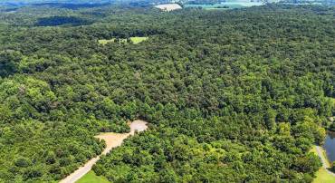 FOXTROT LN, RIXEYVILLE, Virginia 22737, ,Farm,For sale,FOXTROT LN,VACU2011270 MLS # VACU2011270