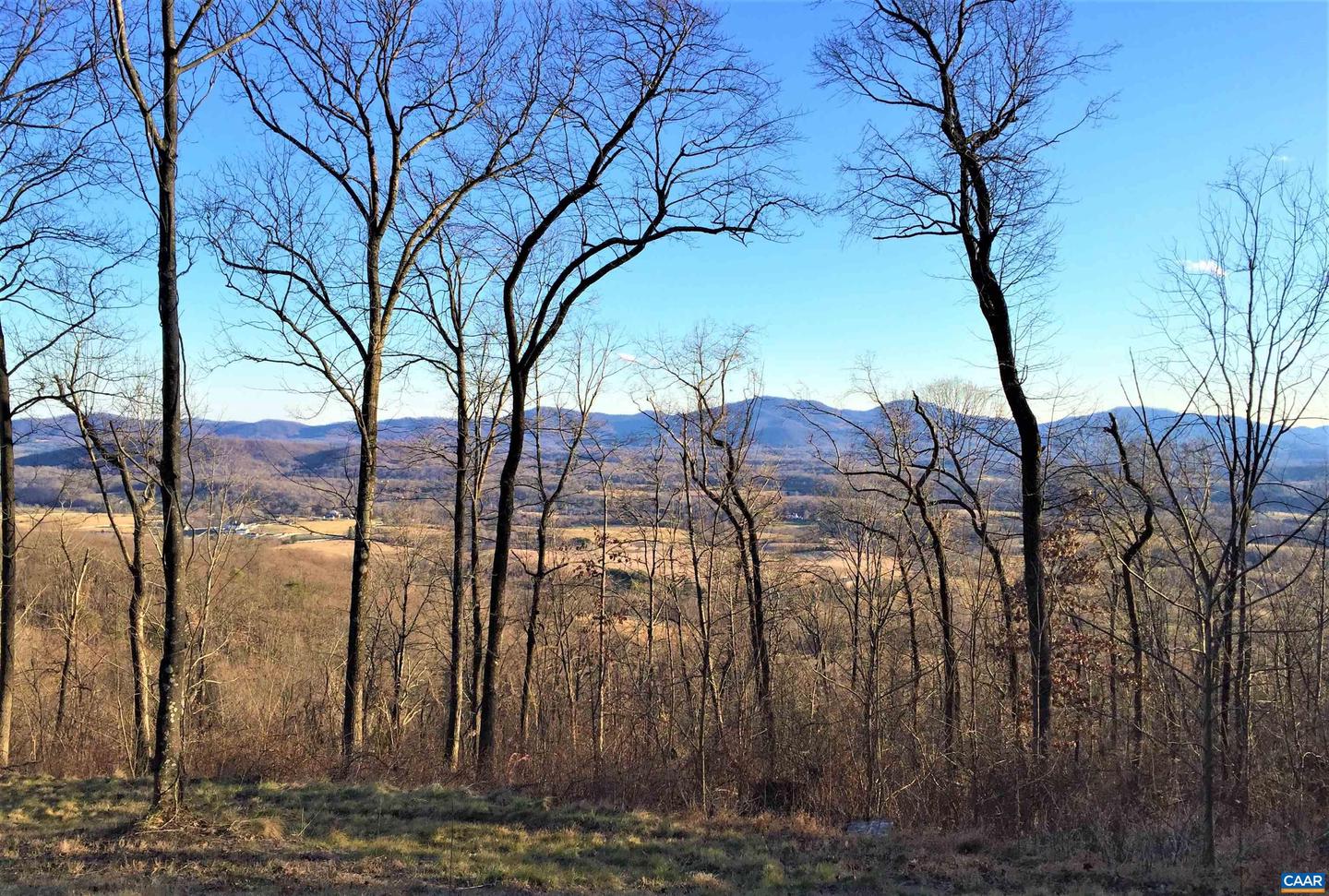 1 BLACKBERRY RIDGE RD, GREENWOOD, Virginia 22943, ,Land,For sale,1 BLACKBERRY RIDGE RD,667766 MLS # 667766