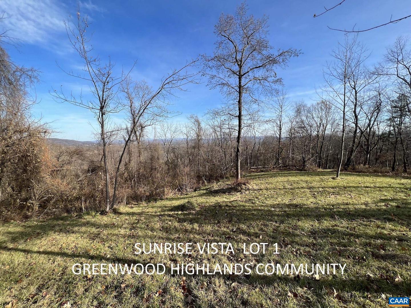 1 BLACKBERRY RIDGE RD, GREENWOOD, Virginia 22943, ,Land,For sale,1 BLACKBERRY RIDGE RD,667766 MLS # 667766