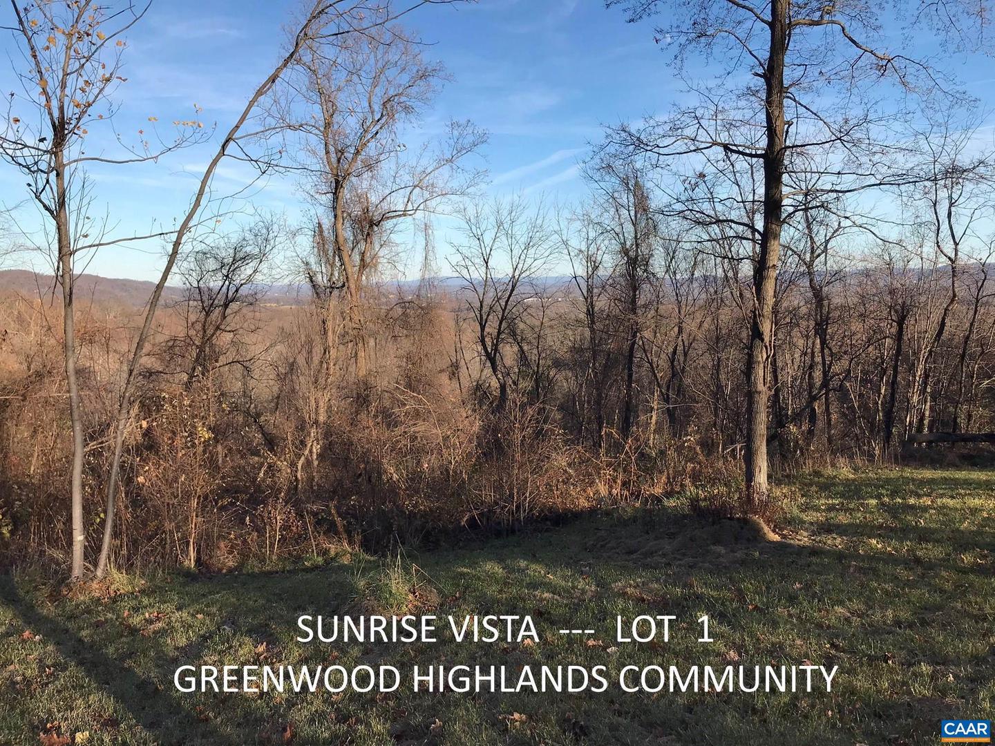 1 BLACKBERRY RIDGE RD, GREENWOOD, Virginia 22943, ,Land,For sale,1 BLACKBERRY RIDGE RD,667766 MLS # 667766