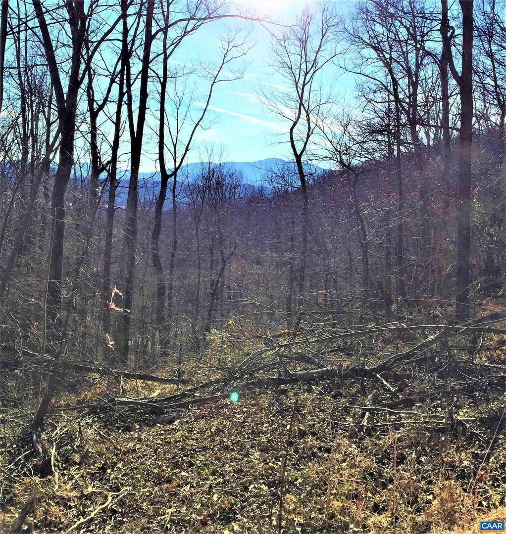 1 BLACKBERRY RIDGE RD, GREENWOOD, Virginia 22943, ,Land,For sale,1 BLACKBERRY RIDGE RD,667766 MLS # 667766