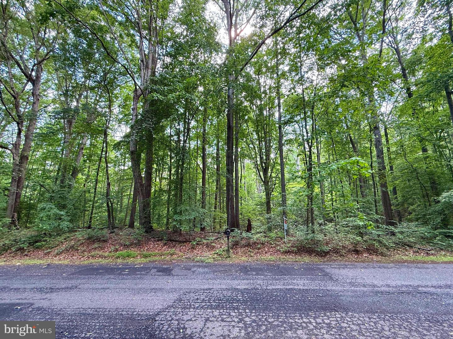 0 JEFFERSON DR, KING GEORGE, Virginia 22485, ,Land,For sale,0 JEFFERSON DR,VAKG2006130 MLS # VAKG2006130