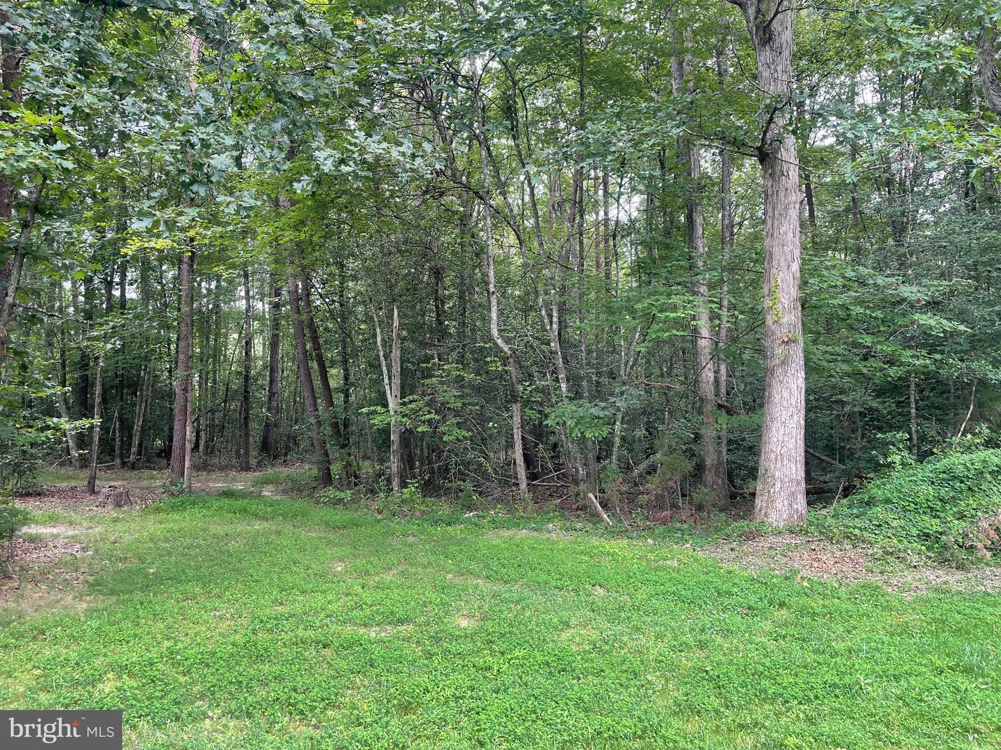 4285 GLORY RD, BEALETON, Virginia 22712, 4 Bedrooms Bedrooms, ,3 BathroomsBathrooms,Residential,For sale,4285 GLORY RD,VAFQ2017900 MLS # VAFQ2017900 4285 GLORY RD, BEALETON, Virginia 22712, 4 Bedrooms Bedrooms, ,3 BathroomsBathrooms,Residential,For sale,4285 GLORY RD,VAFQ2017900 MLS # VAFQ2017900