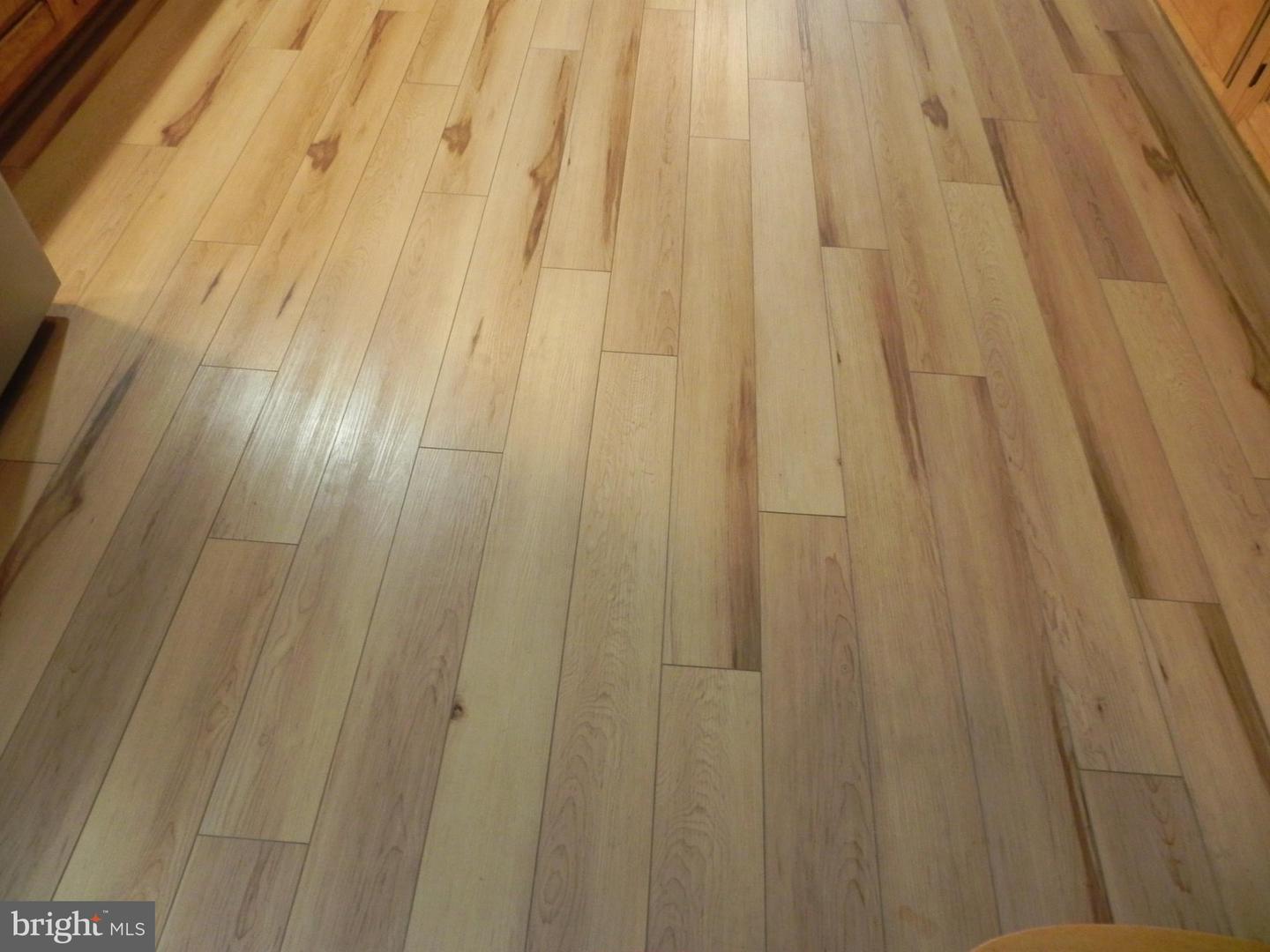 4285 GLORY RD, BEALETON, Virginia 22712, 4 Bedrooms Bedrooms, ,3 BathroomsBathrooms,Residential,For sale,4285 GLORY RD,VAFQ2017900 MLS # VAFQ2017900 4285 GLORY RD, BEALETON, Virginia 22712, 4 Bedrooms Bedrooms, ,3 BathroomsBathrooms,Residential,For sale,4285 GLORY RD,VAFQ2017900 MLS # VAFQ2017900