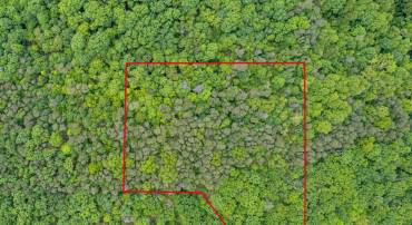 LOT 2 TIMBER RIDGE RD N, CROSS JUNCTION, Virginia 22625, ,Land,For sale,LOT 2 TIMBER RIDGE RD N,VAFV2017278 MLS # VAFV2017278