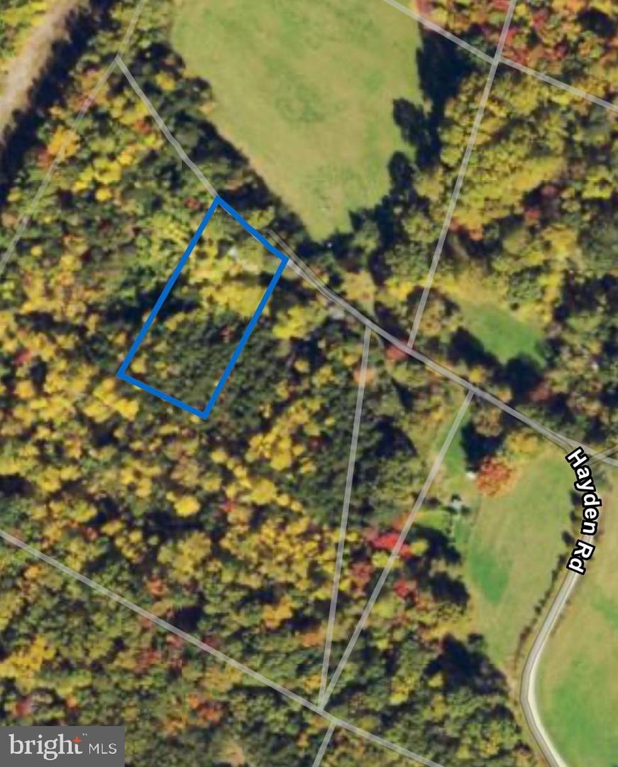 10012 HAYDEN RD, SPOTSYLVANIA, Virginia 22551, ,Land,For sale,10012 HAYDEN RD,VASP2035438 MLS # VASP2035438