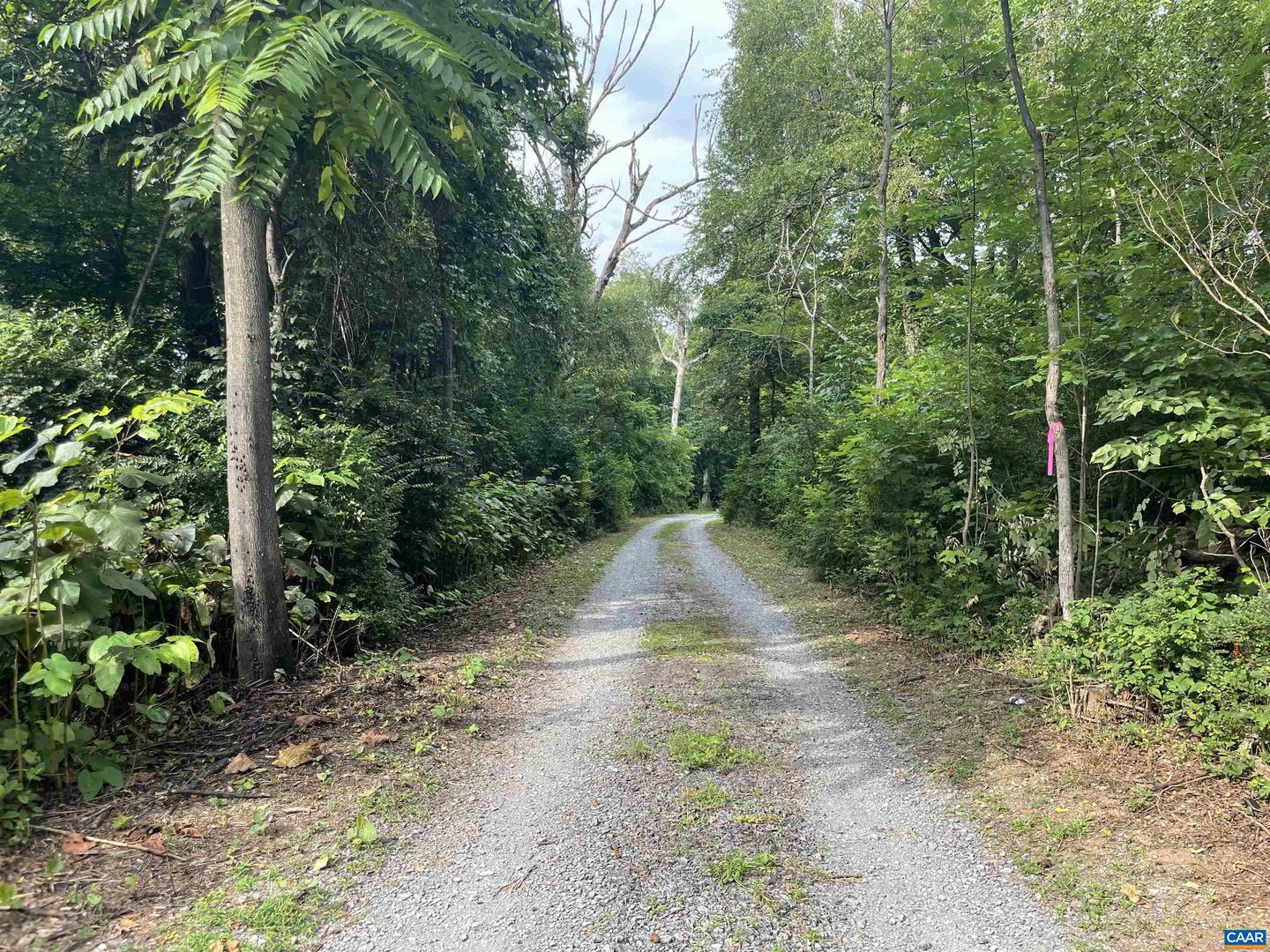 BLOCK A LOT 2 SWANNANOA LN, AFTON, Virginia 22920, ,Land,For sale,BLOCK A LOT 2 SWANNANOA LN,667786 MLS # 667786