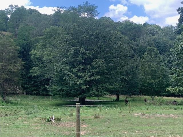 4734 MAPLE SUGAR RD, BLUE GRASS, Virginia 24413, 3 Bedrooms Bedrooms, ,2 BathroomsBathrooms,Residential,4734 MAPLE SUGAR RD,667785 MLS # 667785