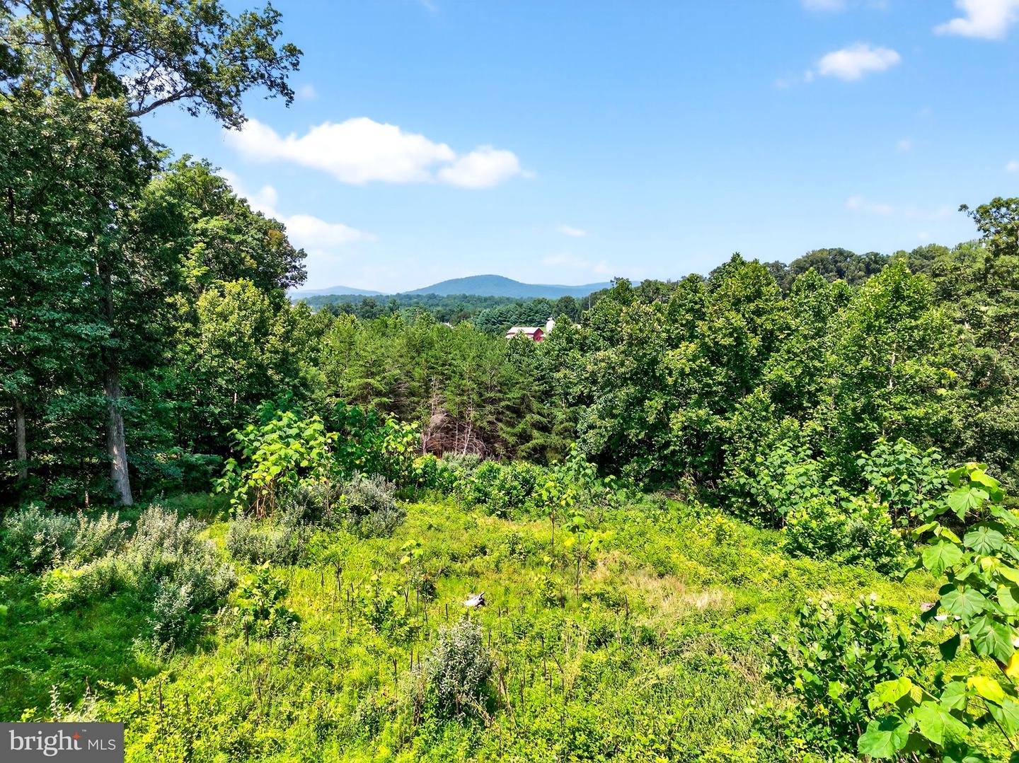 9565 BRIAR LN, DELAPLANE, Virginia 20144, 4 Bedrooms Bedrooms, ,5 BathroomsBathrooms,Residential,For sale,9565 BRIAR LN,VAFQ2017890 MLS # VAFQ2017890