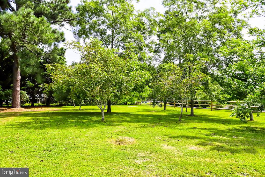 3340 WILLOW ST, CHINCOTEAGUE ISLAND, Virginia 23336, 3 Bedrooms Bedrooms, ,2 BathroomsBathrooms,Residential,For sale,3340 WILLOW ST,VAAC2002162 MLS # VAAC2002162
