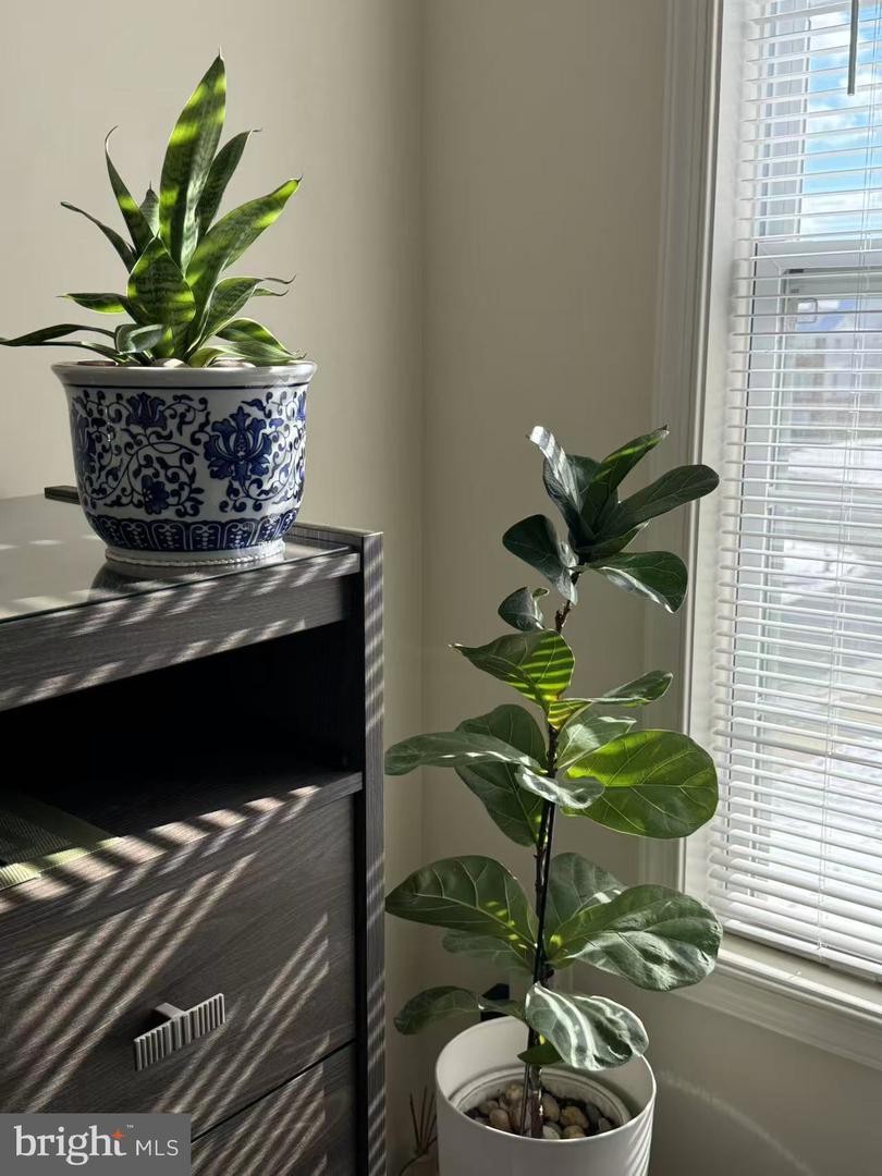 23305 MILLTOWN KNOLL SQ #105, ASHBURN, Virginia 20148, 2 Bedrooms Bedrooms, ,2 BathroomsBathrooms,Residential,For sale,23305 MILLTOWN KNOLL SQ #105,VALO2104498 MLS # VALO2104498