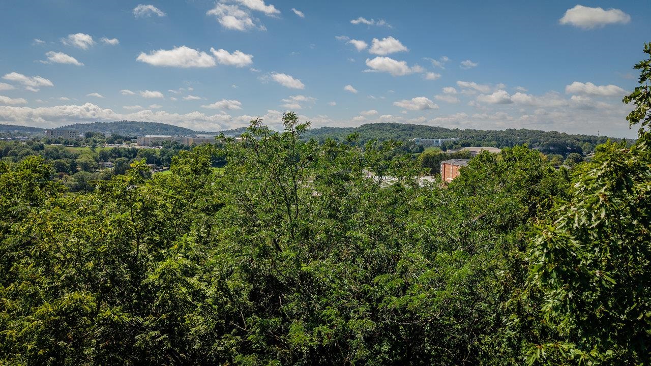 321 WEST VIEW ST, HARRISONBURG, Virginia 22801, ,Land,321 WEST VIEW ST,667806 MLS # 667806