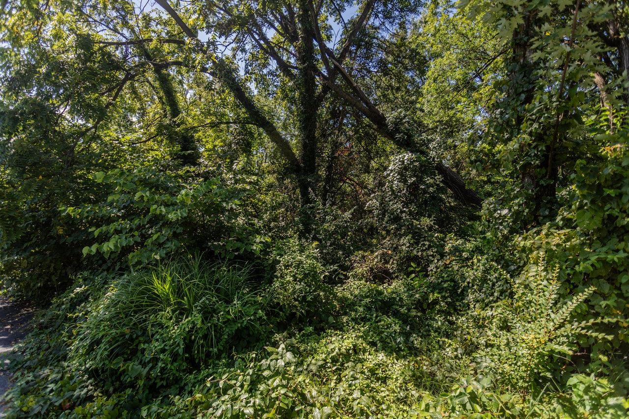 321 WEST VIEW ST, HARRISONBURG, Virginia 22801, ,Land,321 WEST VIEW ST,667806 MLS # 667806