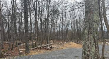 BLUEBIRD TRAIL, WINCHESTER, Virginia 22602, ,Land,For sale,BLUEBIRD TRAIL,VAFV2033226 MLS # VAFV2033226