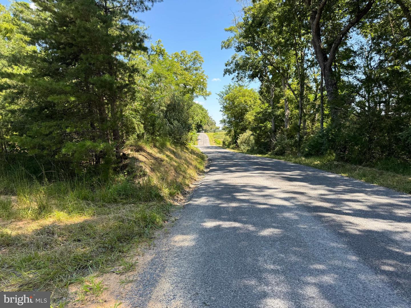 390 FLETCHER, GORE, Virginia 22637, ,Land,For sale,390 FLETCHER,VAFV2036016 MLS # VAFV2036016