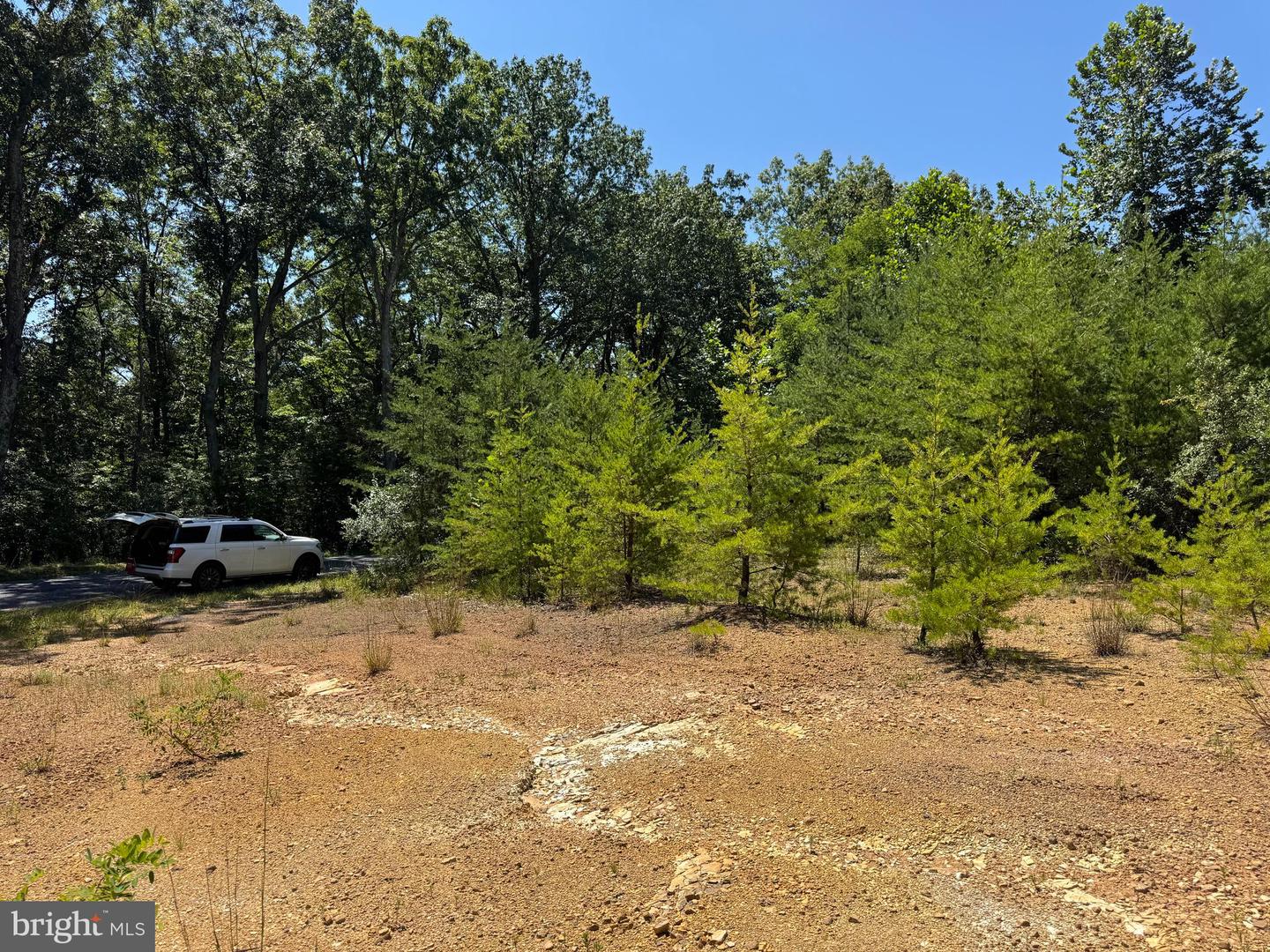 390 FLETCHER, GORE, Virginia 22637, ,Land,For sale,390 FLETCHER,VAFV2036016 MLS # VAFV2036016