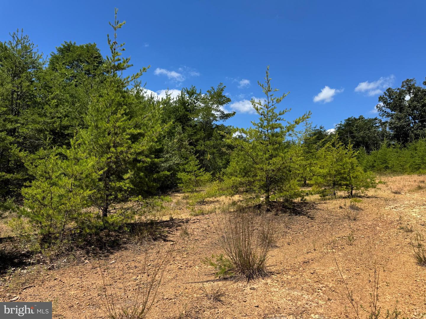 390 FLETCHER, GORE, Virginia 22637, ,Land,For sale,390 FLETCHER,VAFV2036016 MLS # VAFV2036016