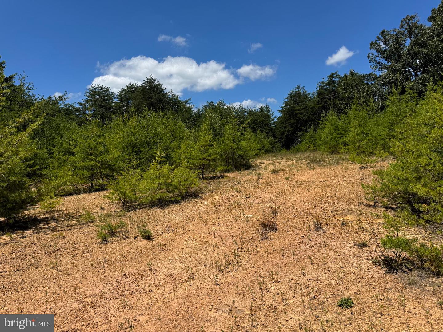 390 FLETCHER, GORE, Virginia 22637, ,Land,For sale,390 FLETCHER,VAFV2036016 MLS # VAFV2036016