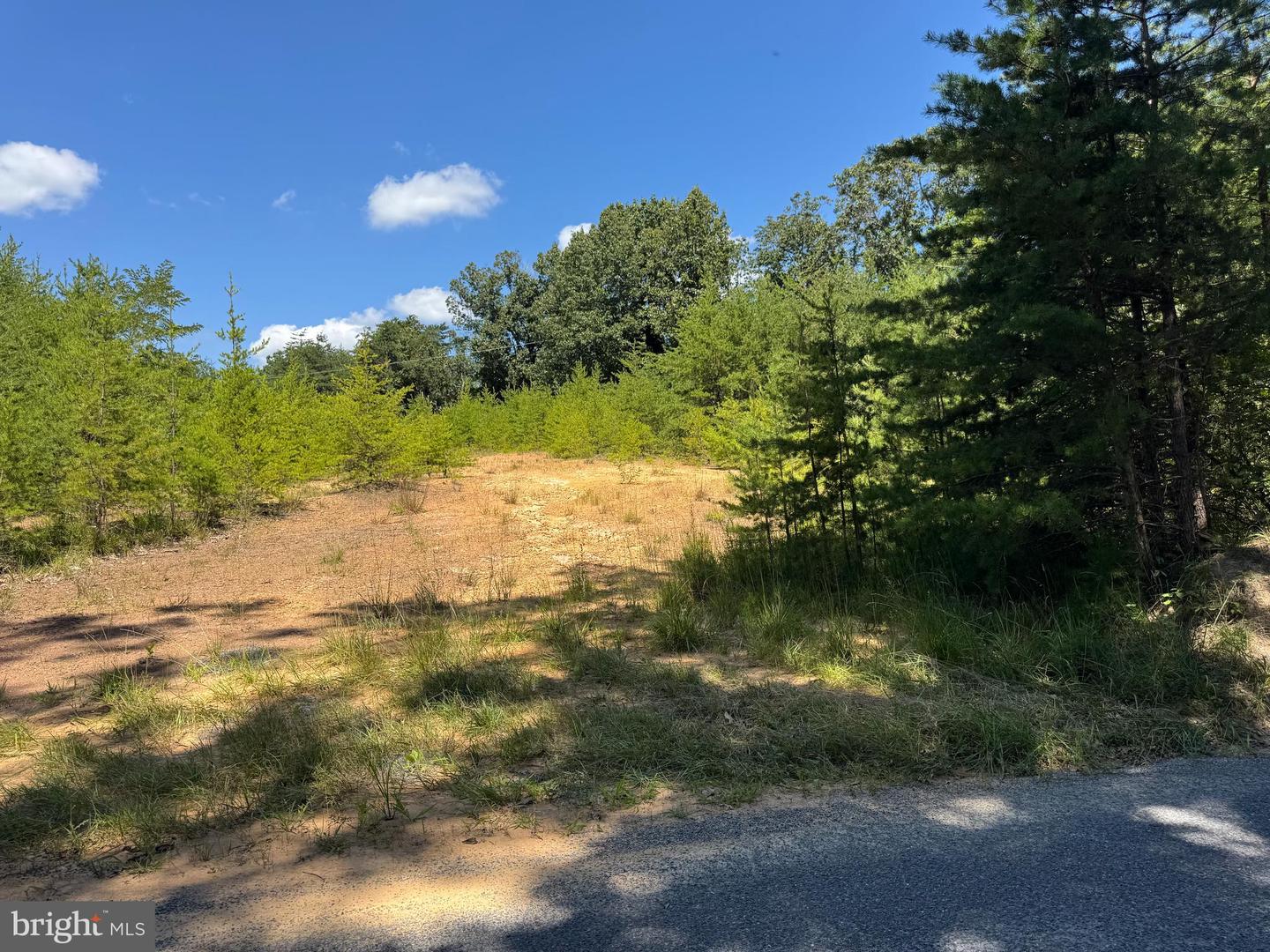 390 FLETCHER, GORE, Virginia 22637, ,Land,For sale,390 FLETCHER,VAFV2036016 MLS # VAFV2036016
